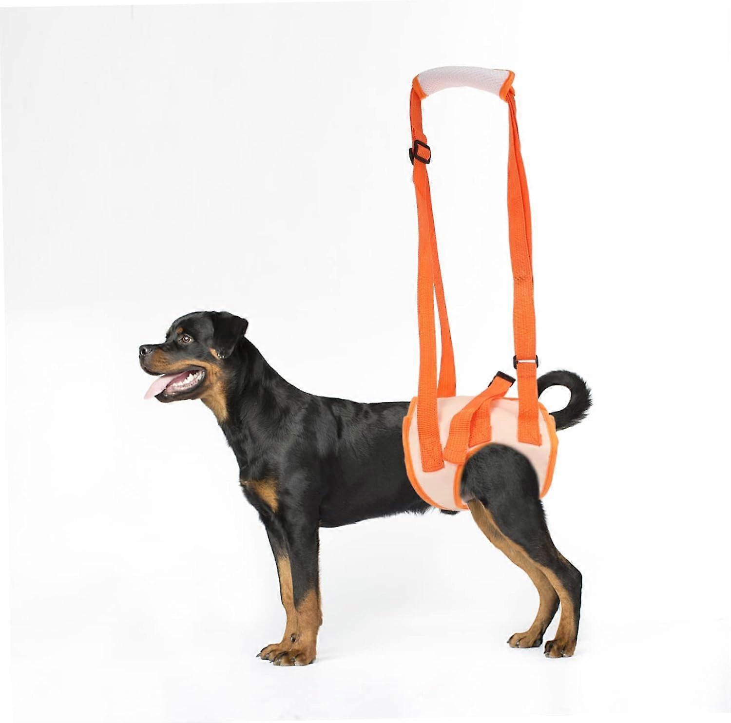 Adjustable Dog Rear Support Belt Hip Assistance Harness Lanyard Compatible Extra Strong Size Adjustable