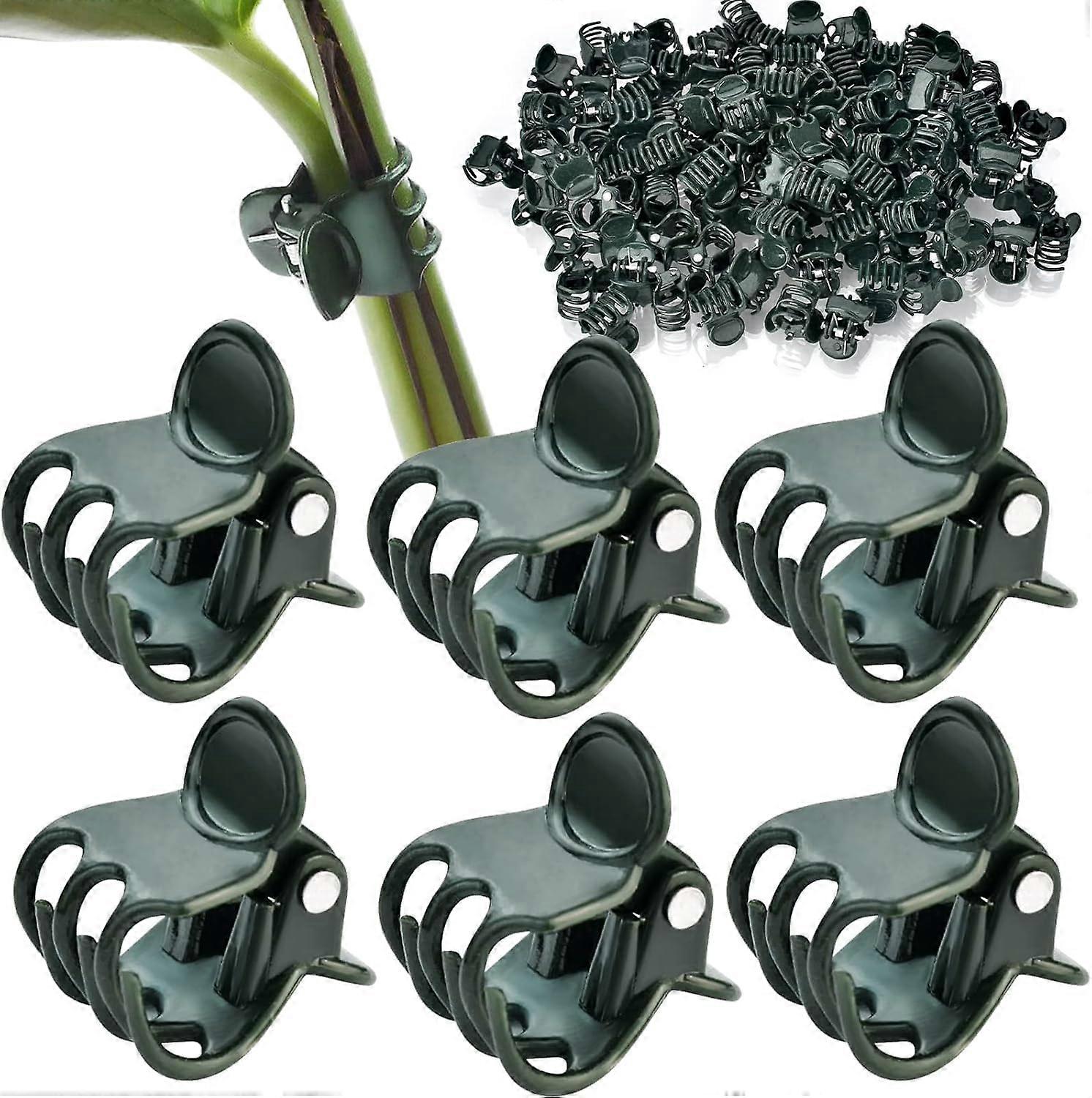 50 Reusable Orchid Clips Set