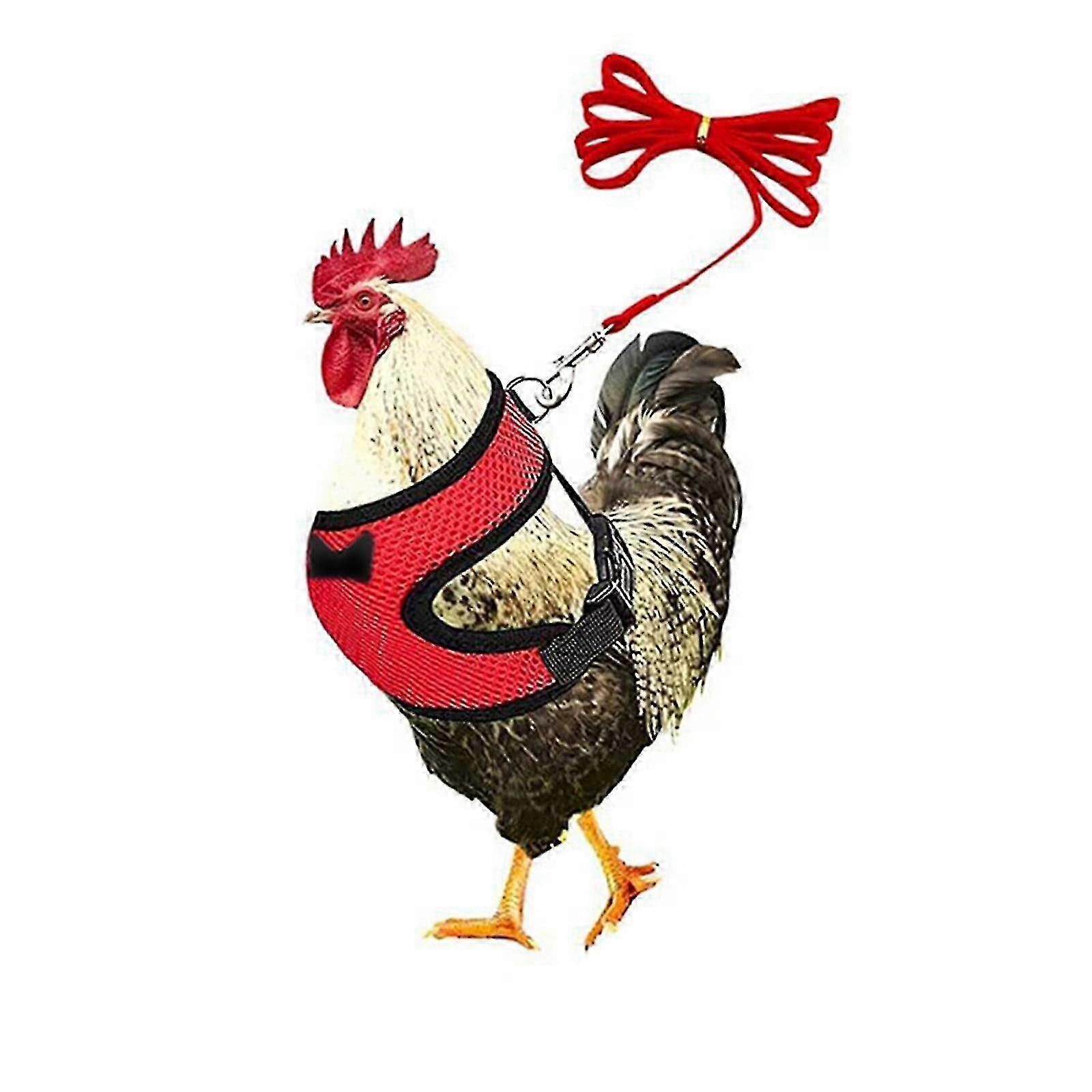Adjustable Chicken Leash Nylon XS