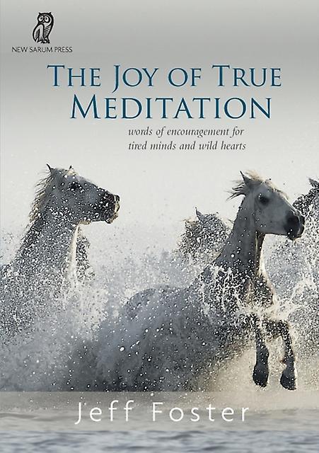 The Joy Of True Meditation by Jeff Foster Paperback