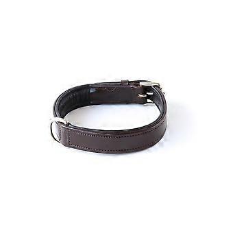 Wide Special Dog Collar