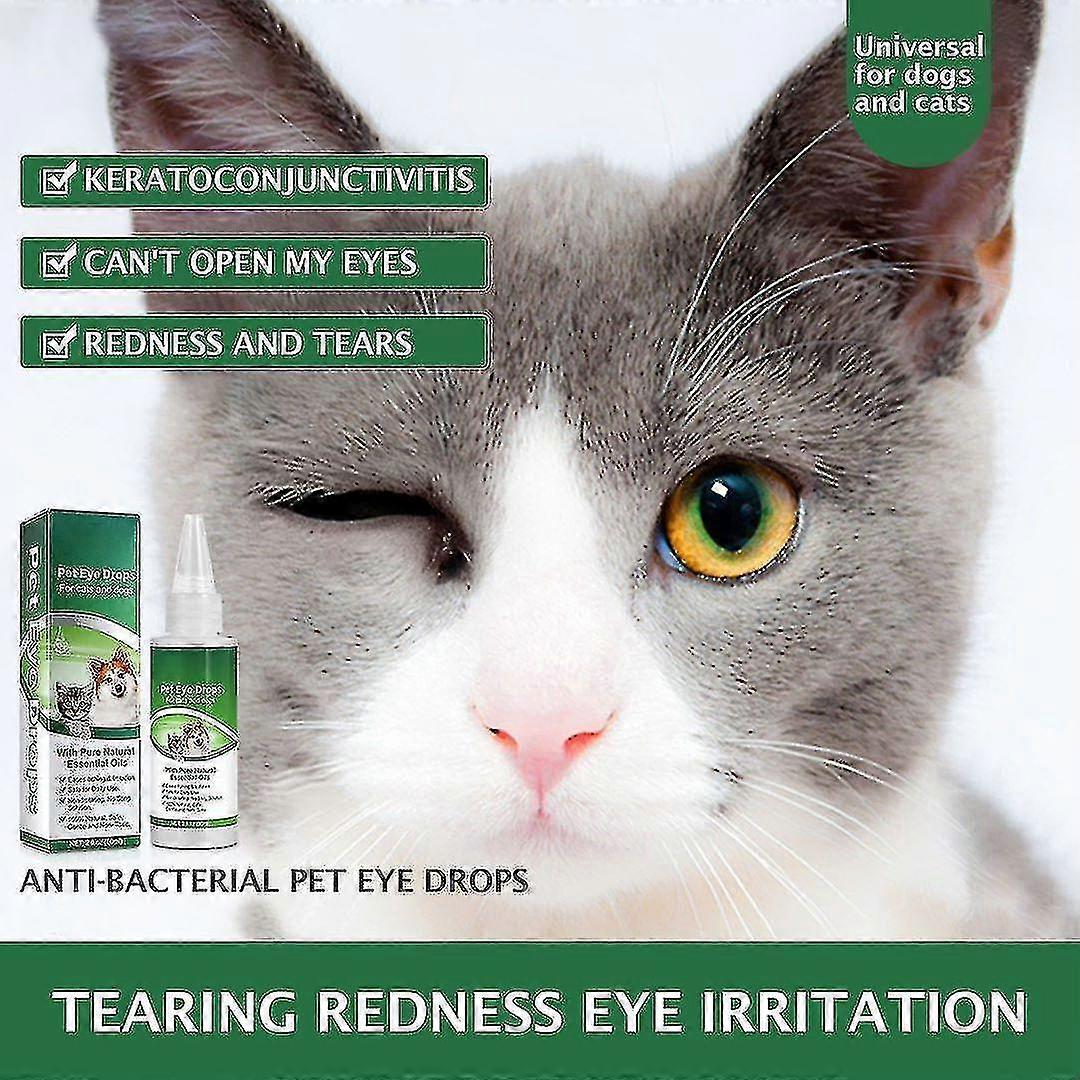Terramycin Eye Ointment For Kittens Buy Terramycin Ophthalmic