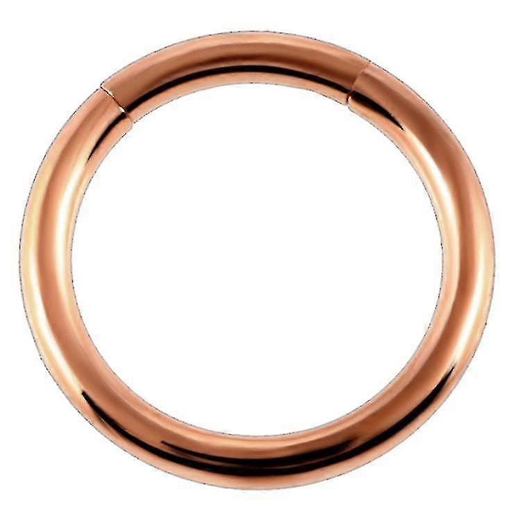 mote 1pc 16g stål segment ring øre piercing nese ringer fanget nese hoop piercinger klipp på øredobber for unisex kroppen smykker