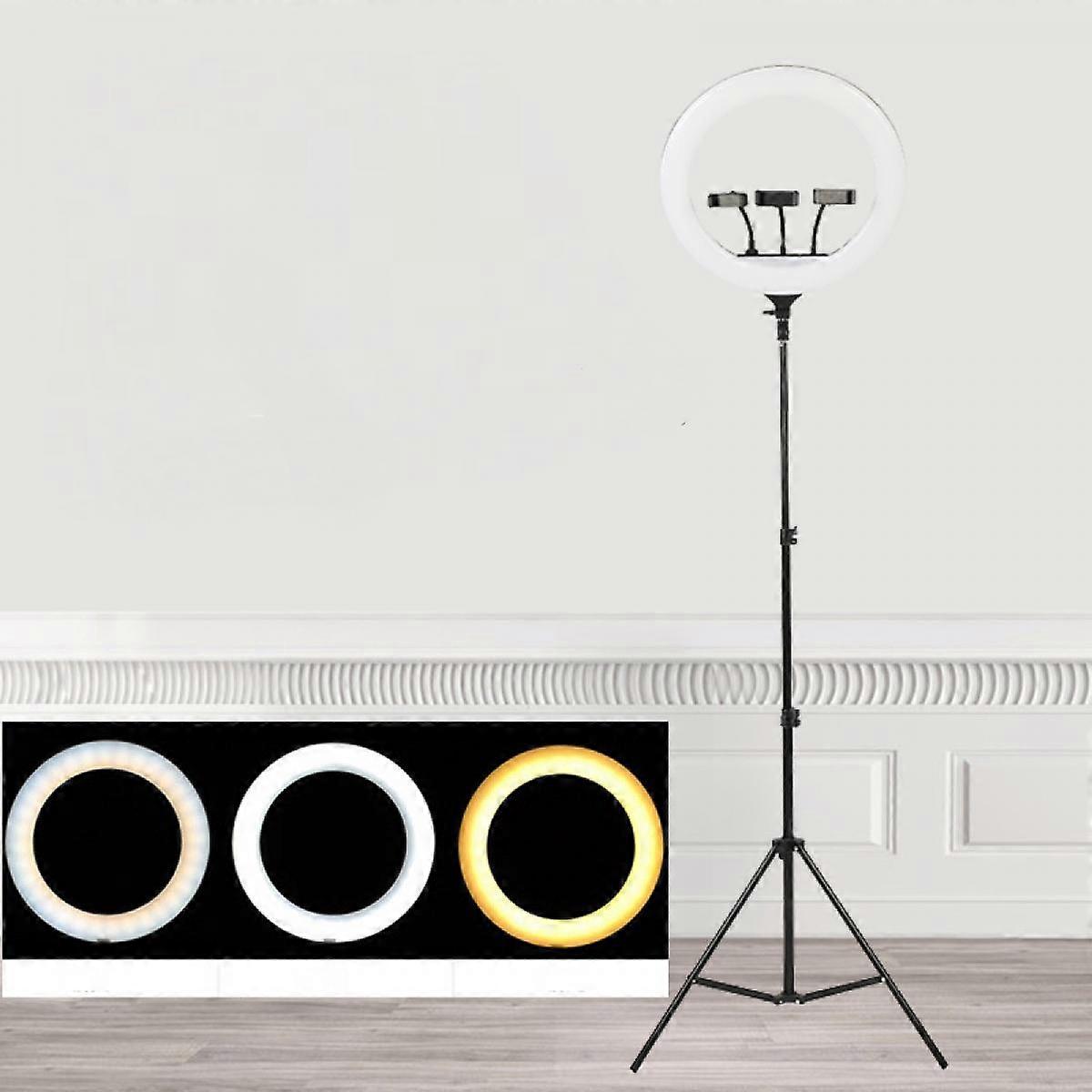 Ring Light with Tripod Stand Dimmable LED Selfie Circle Light for Live Streaming/Video Shooting/Makeup