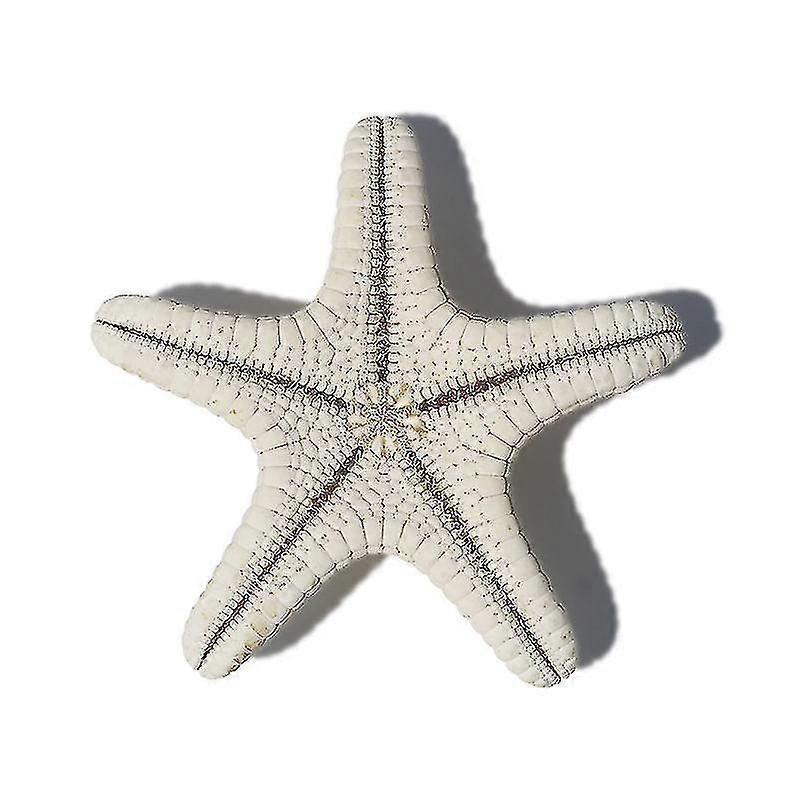 3pcs 5cm Small Starfish Star Sea Shell Beach Craft