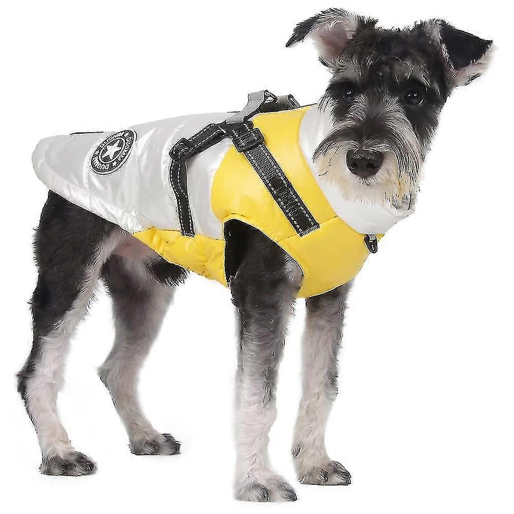 Hund bomull vadderade kläder med D-formad ring-XK12422