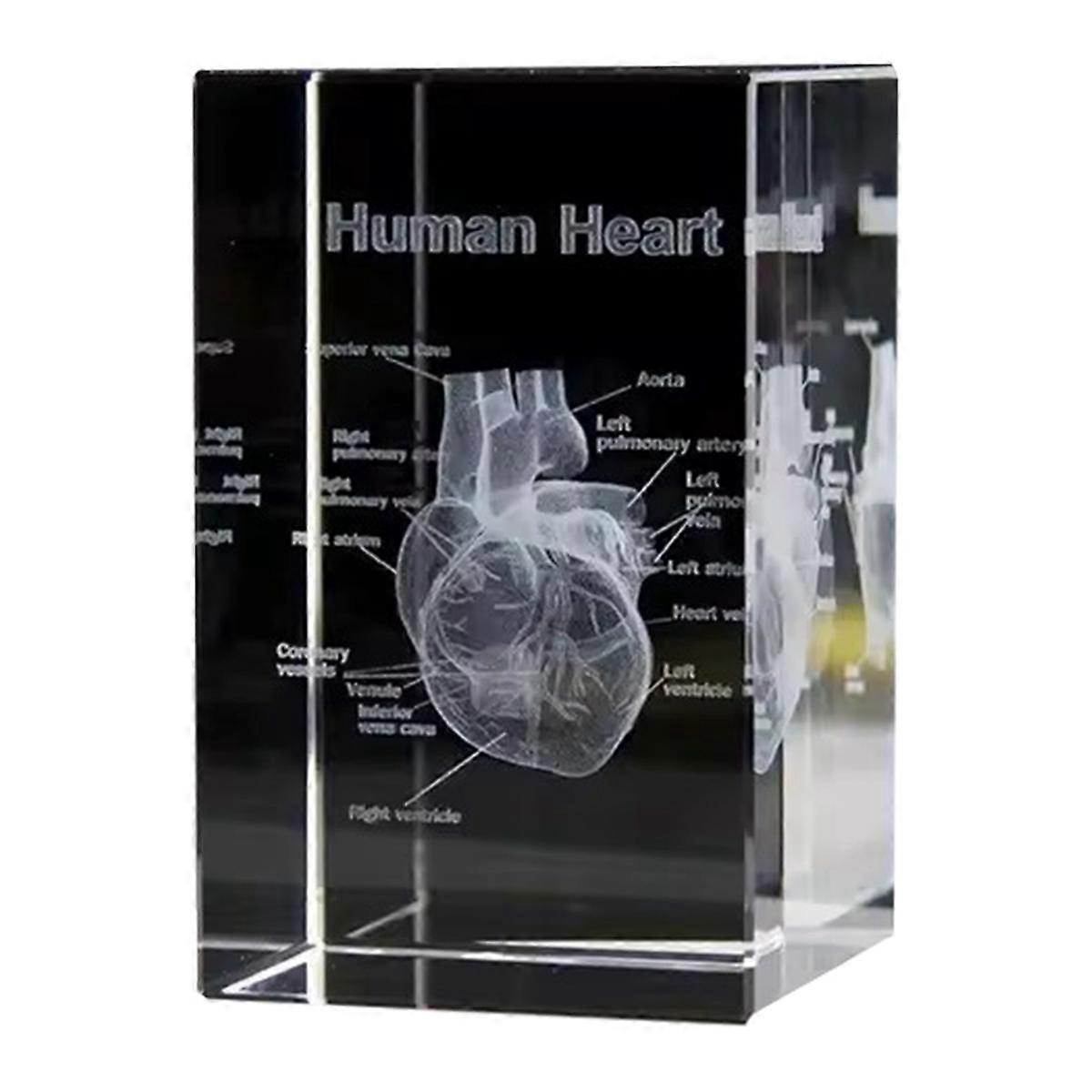 Crystal Heart Model Cube 3D Laser Engraved Anatomical Figurines Medical Science Souvenir Gifts Decoration Paperweight