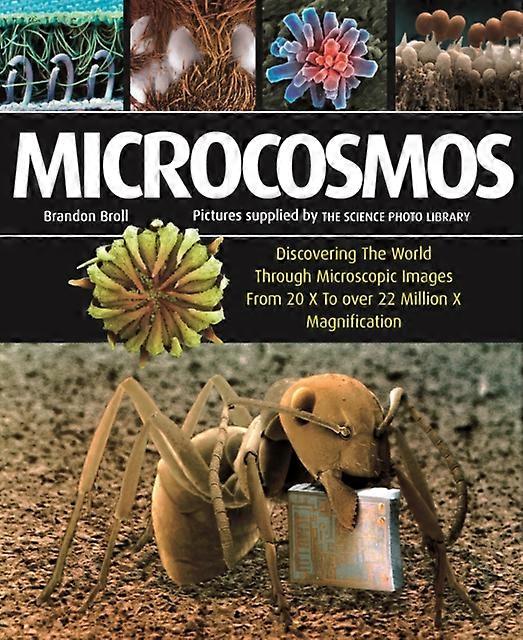Microcosmos by Brandon Broll Paperback