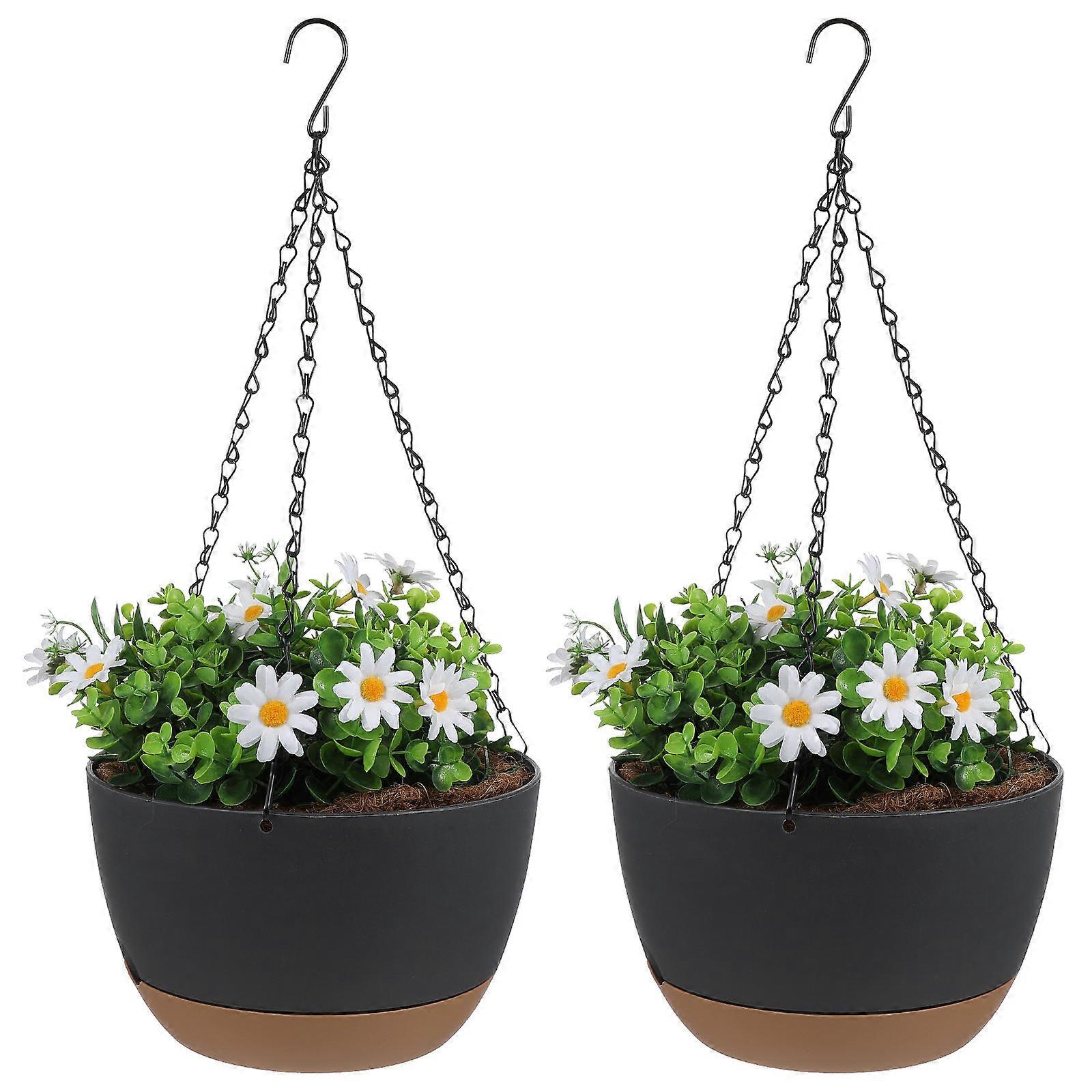 Indoor Hanging Plant Solutions, Combining Functionality and Beauty, Easy Maintenance