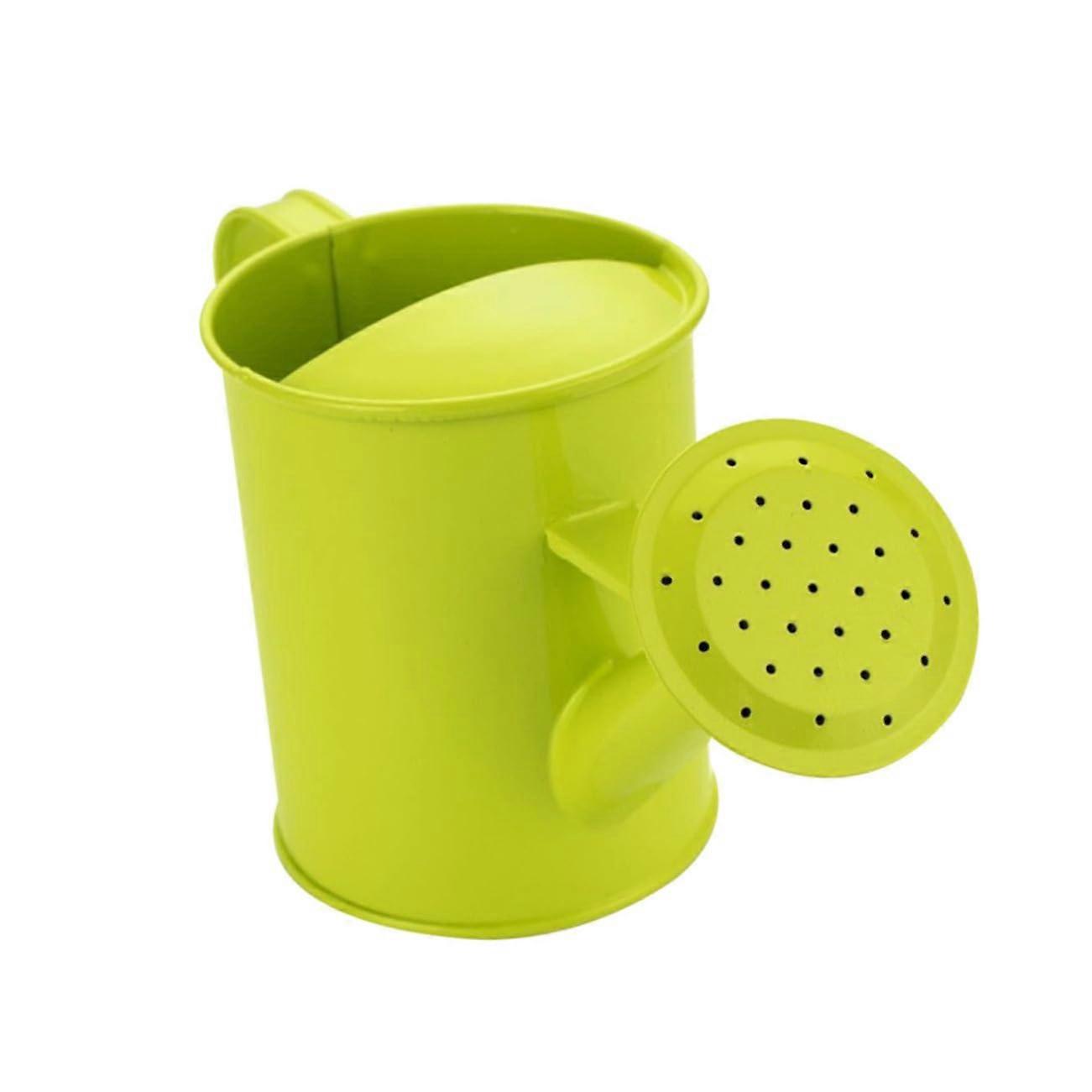 Ergonomic Watering Can for Small Indoor Plants, Durable and Lightweight Gardening Pot, 1L Capacity