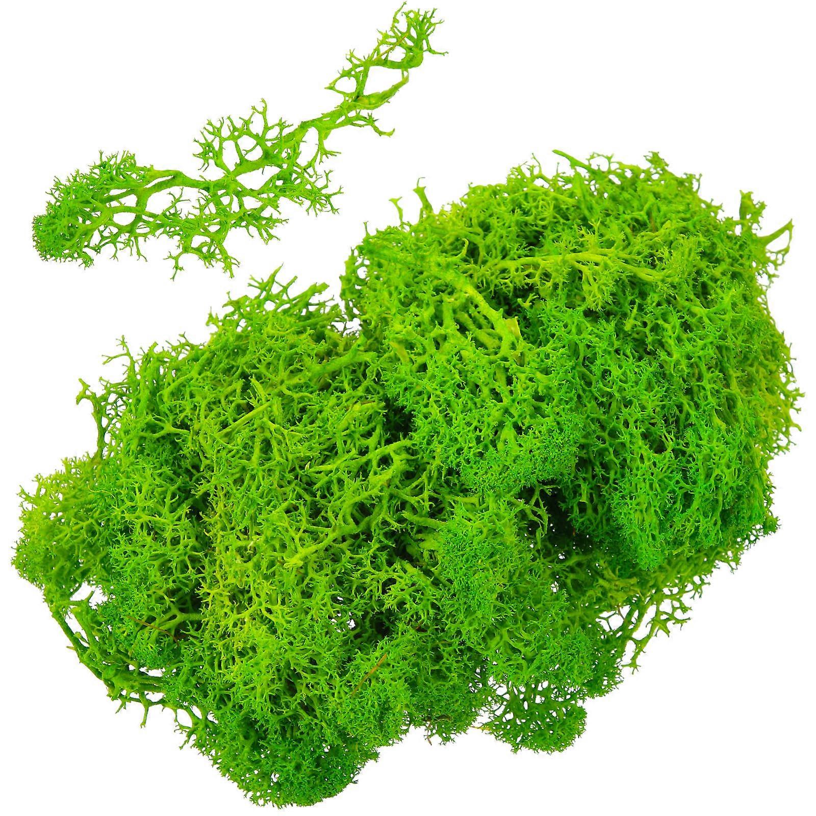 Artificial Moss For Decoration Faux Moss Sheet Indoor Decoration Foam Realistic Design 1 Set