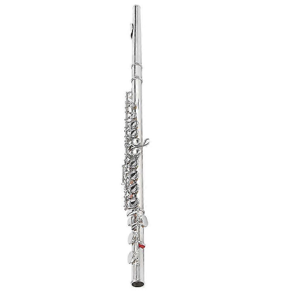 Professional Silver Plated Flute for Beginners and Adults with Tested Playability
