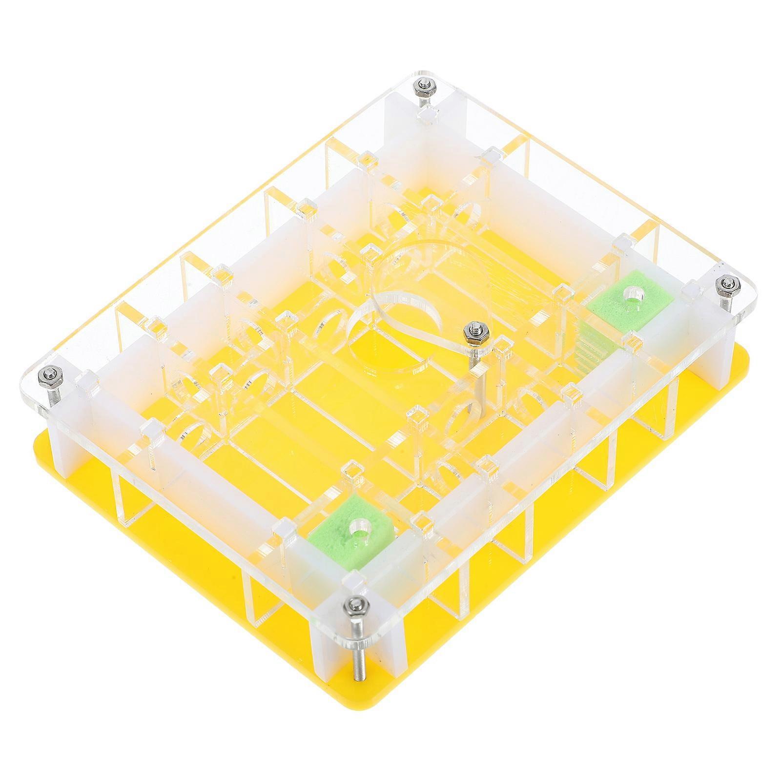 Ant Ecological Box Acrylic Ant Castle for 2Sets Science Toy