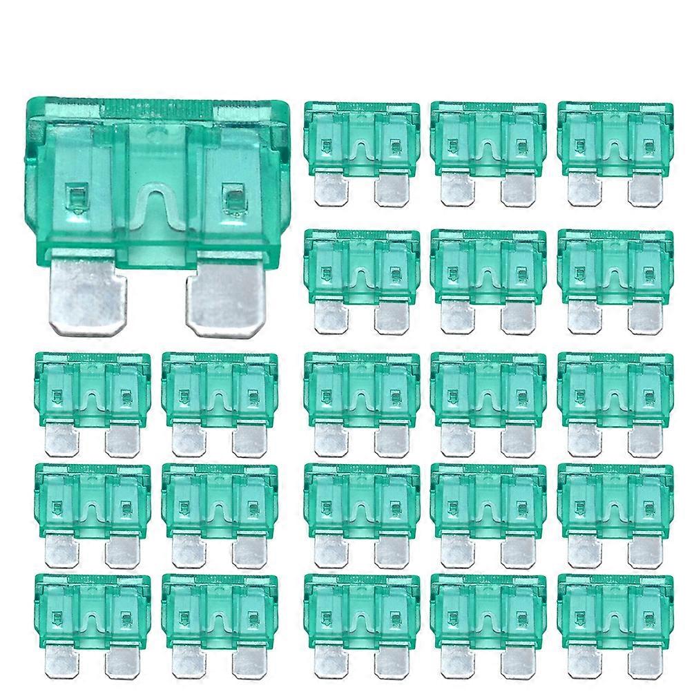 -Type Automotive Fuse Car 100Pcs 30a for Auto Replacement Use