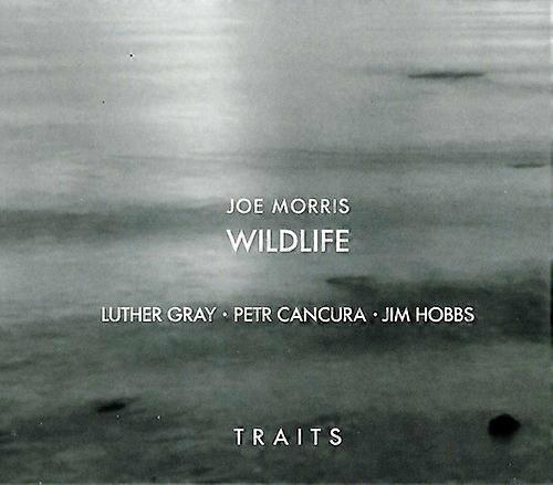 Joe Morris - Traits  [COMPACT DISCS] Digipack Packaging USA import