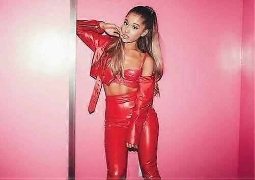 ARIANA GRANDE Jigsaw Puzzle Brain Teaser TP1163