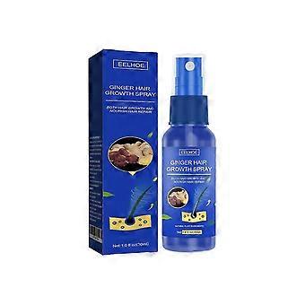 Eelhoe ginger hair care spray - gentle nourishing hair moisturizing, smooth, shiny, & hydrating hair treatment spray for for daily skin care daily car