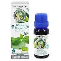 Organic Basil Essential Oil 15 ml (Basil)