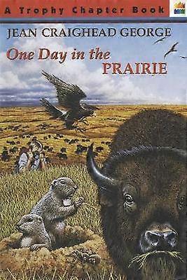 One Day in the Prairie