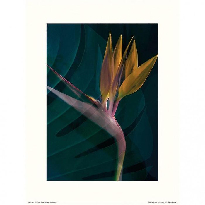 Ian Winstanley Dark Tropics IV Print