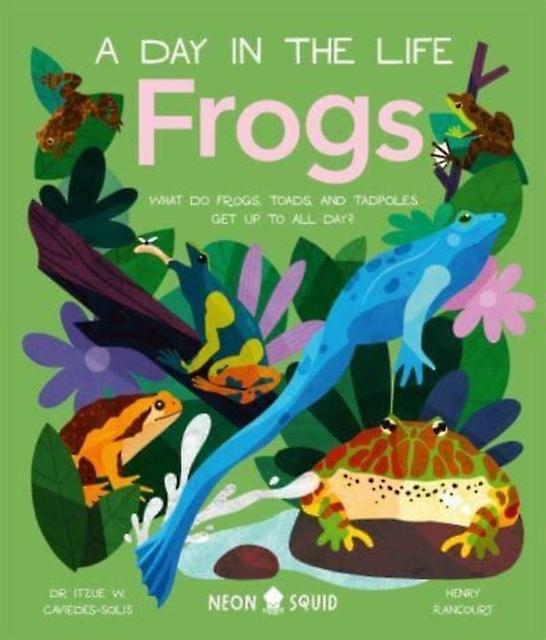 Frogs A Day In The Life by Neon Squid Paperback Book