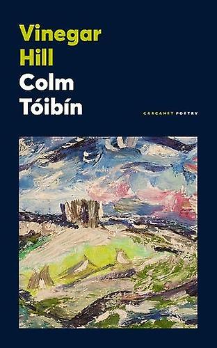 Vinegar Hill by Colm Toibin Paperback