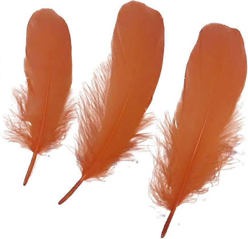 Sowder Plumas de Ganso Natural Accesorios de Ropa Pack de 100 (Naranja)