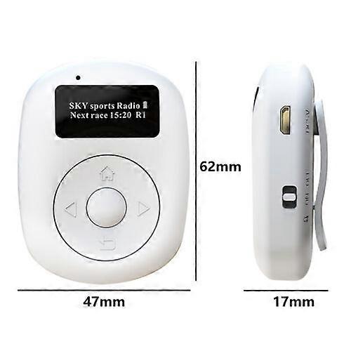 Mini Portable Pocket DAB/DAB+/FM Digital Radio OLED Rechargeable with Earphones
