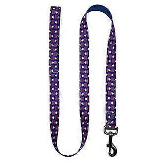 Strong Dog Leash with Reflective Threads for Enhanced Visibility, Nylon Dog Leashes with 360° Rotation Clip for Uninterrupted Walks