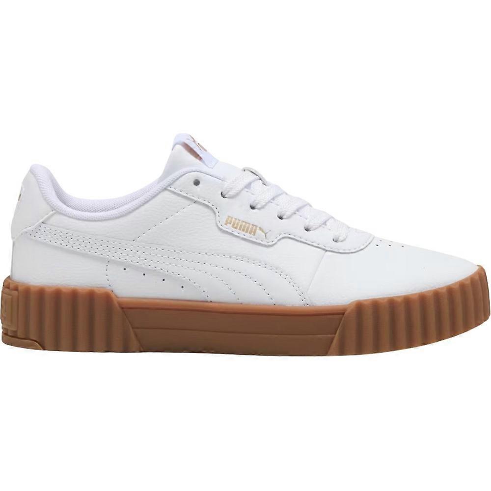 Shoes Puma B24618