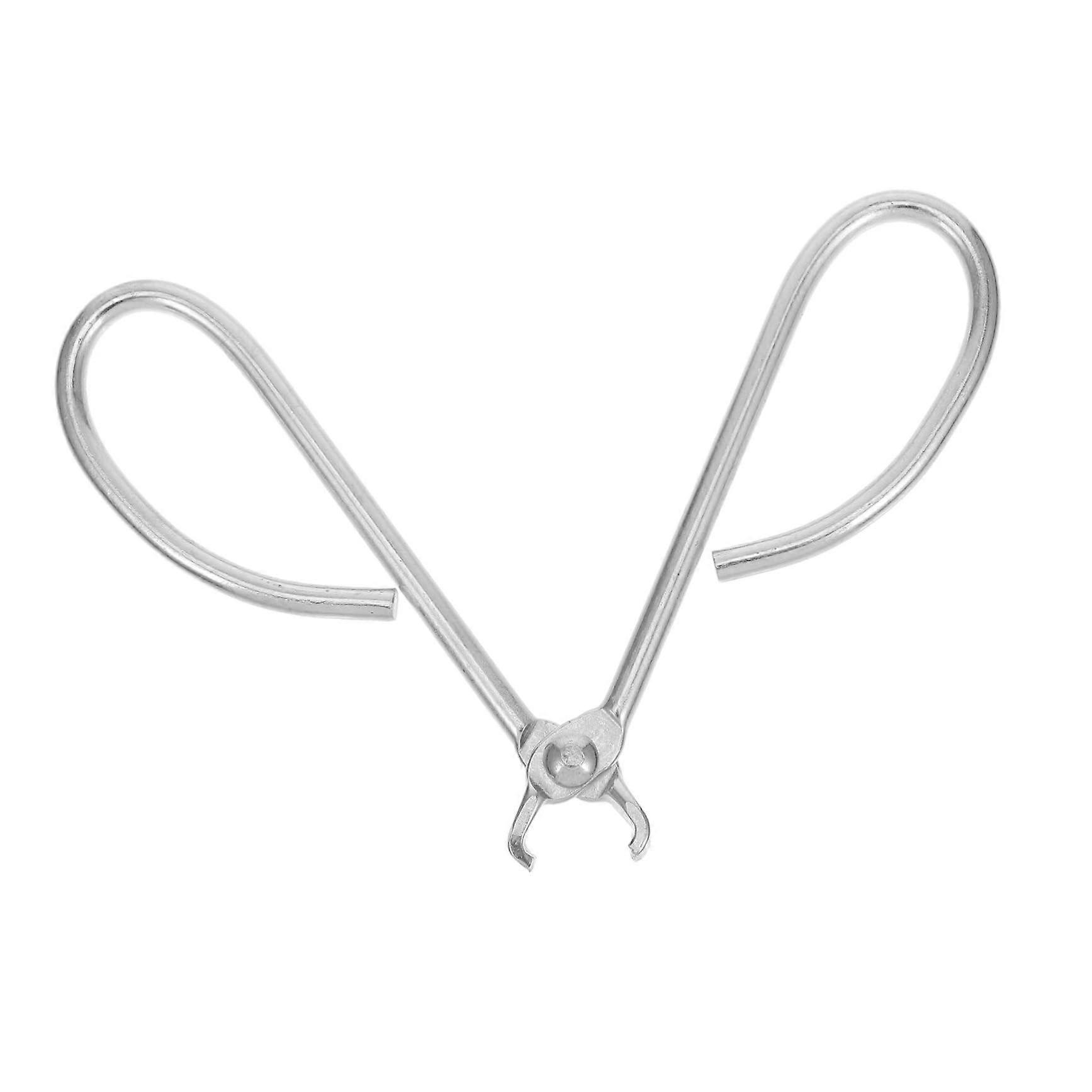 Pine Nut Peeler and Peanut Cracker Tool - Stainless Steel Manual Nut Sheller - Ergonomic Design Nusszange Silver