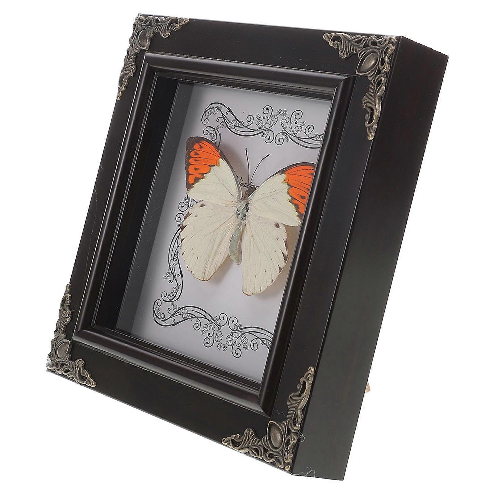 Framed Butterfly Specimen Display Indoor Decor Assorted Color European Style Acrylic 16.90X16.90X2.80CM 1Set