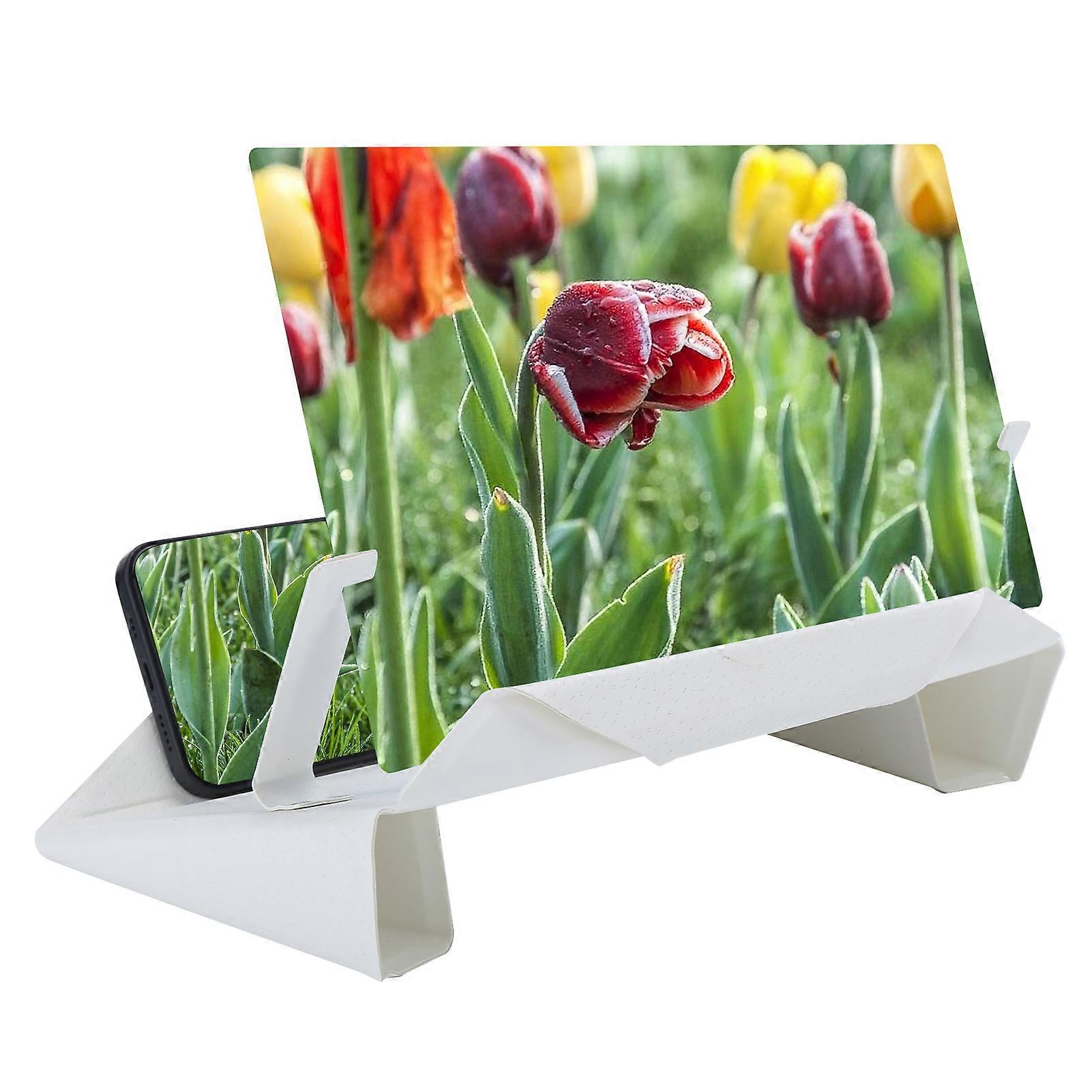 10 Inch Foldable Mobile Screen Magnifier D1 White Eye Protect