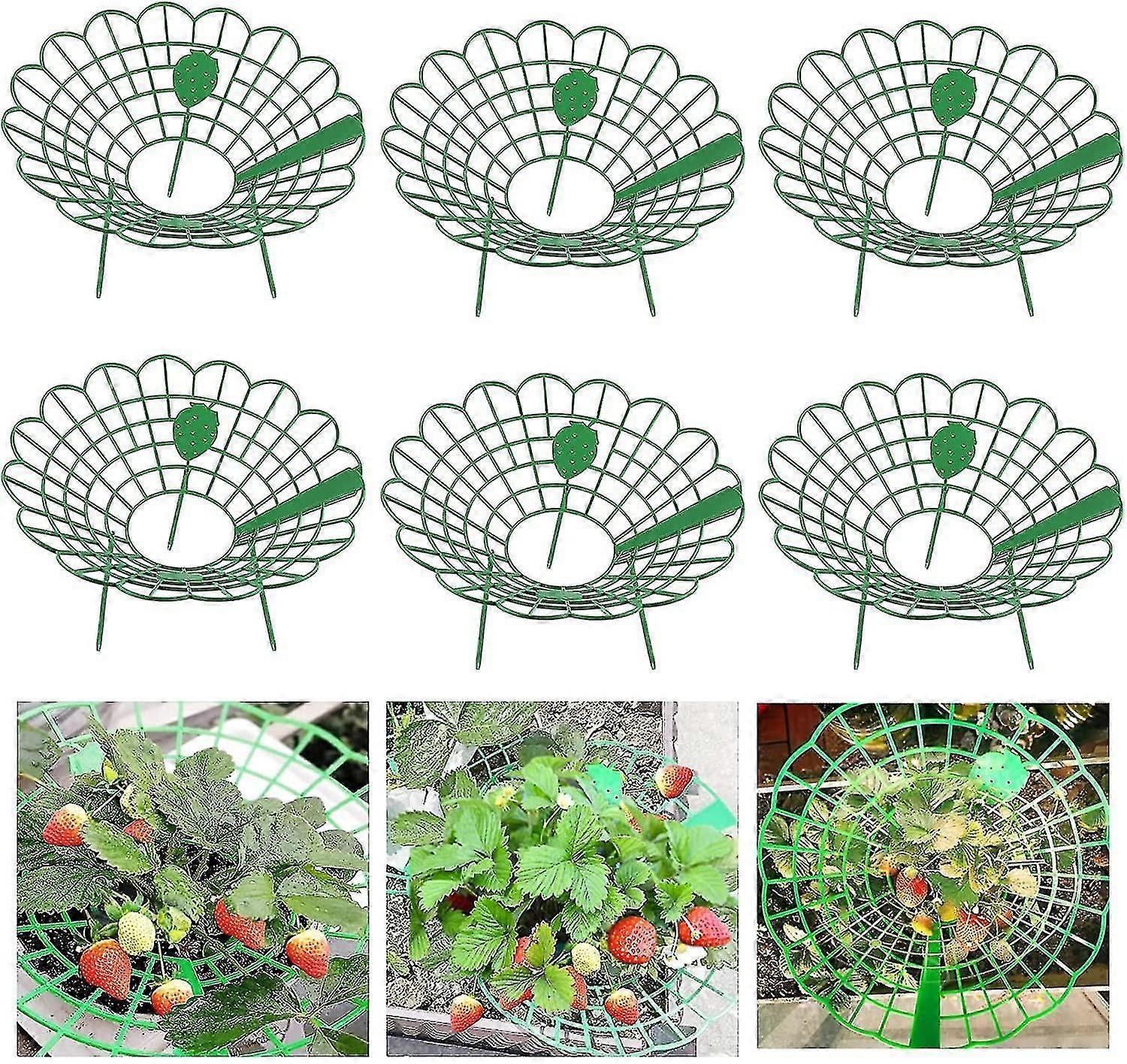 6 pakkausta Srawberry-tuet, kannettava mansikkateline, jossa on 4 tukevaa jalkaa, säädettävät tukisarjat