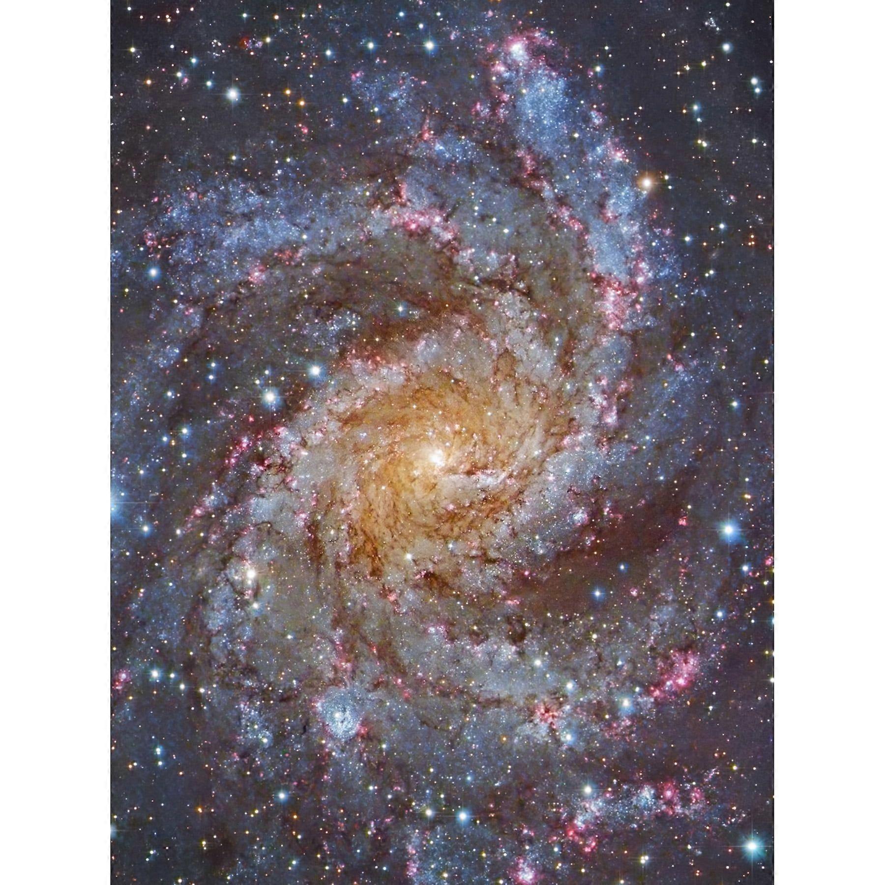 Hubble Space Telescope Image NGC 6946 Supernova Fireworks Galaxy Subaru And Red Eclipse Star Cluster Hodge&#39;s Complex Large Wall Art   Print Thick 