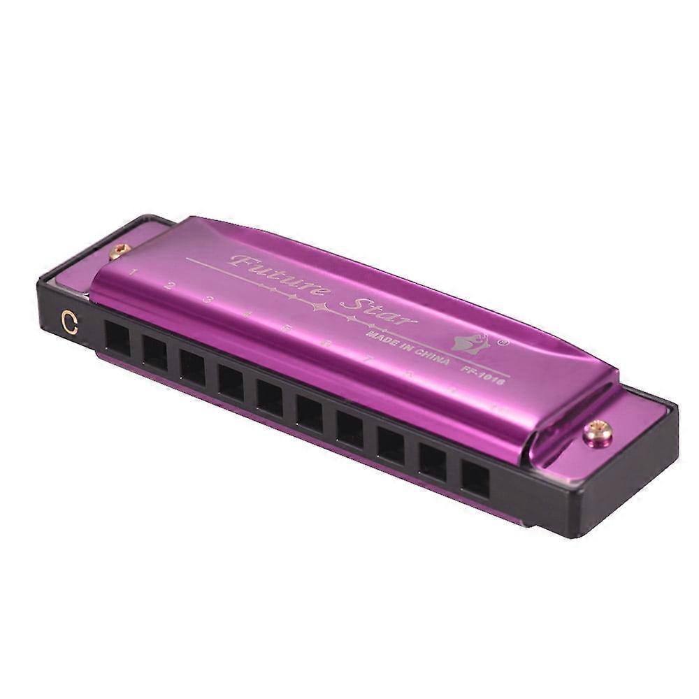 Key of C Diatonic Harmonica with ABS Reeds, Mirror Surface, 10-Hole Blues Mouthorgan, Compatible with Standard Tuning, Purple