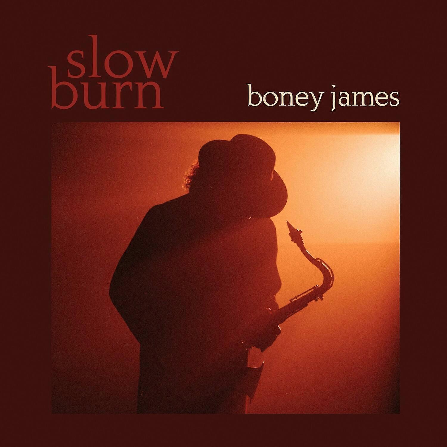 Boney James - Slow Burn  [COMPACT DISCS] USA import