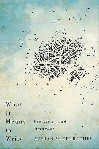 What It Means to Write Creativity and Metaphor