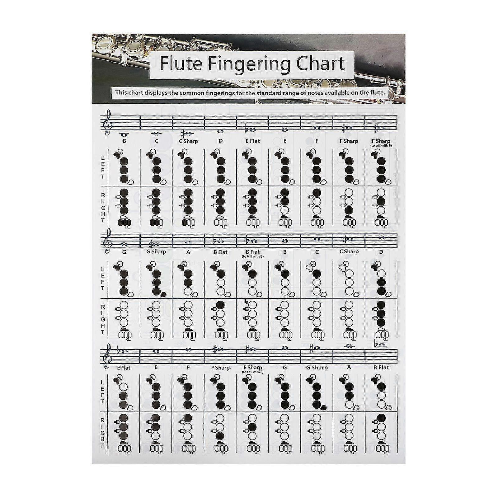 Practical Flute Finger Guide Chart Useful Flute Chord Chart compatible with Flute Beginners