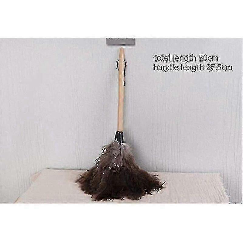 Bamboo Handle Ostrich Feather Duster