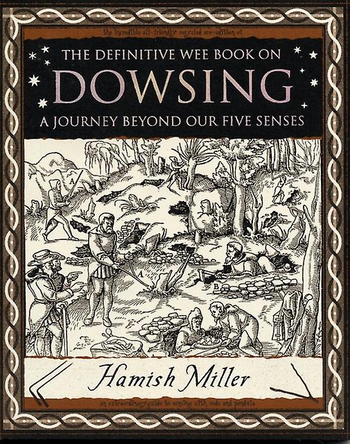 Dowsing A Journey Beyond Our Five Senses by Hamish Miller Paperback Book