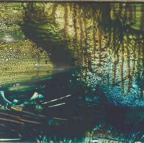 アンドリュー・チョーク、ラルフ・ウェホウスキー、エリック・ランジロッタ - ヤン・トゥル [CD]