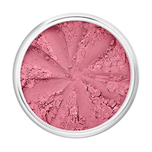 Surfer Girl Mineral Blush 3 g
