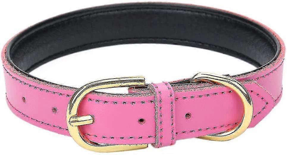 Ao Basic Padded Pet Collars For Cats S Medium Dogs