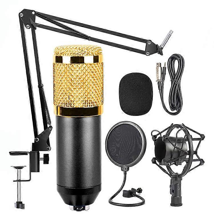 BM-800 Network K-Song Dedicated High-end Metal Shock Mount Microphone Set