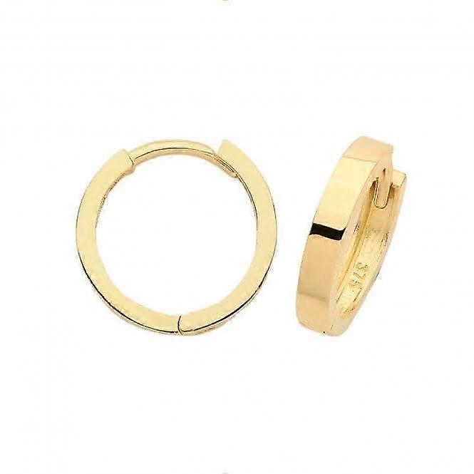 9ct Yellow Gold Hinged Earrings ER1172