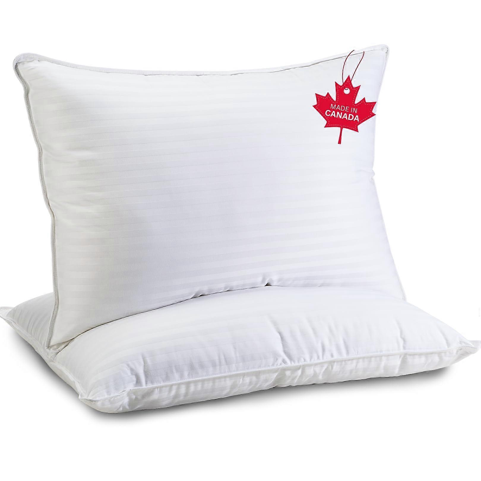 2 Pack Premium Down Alternative Pillows for Stomach Sleeper Queen Size