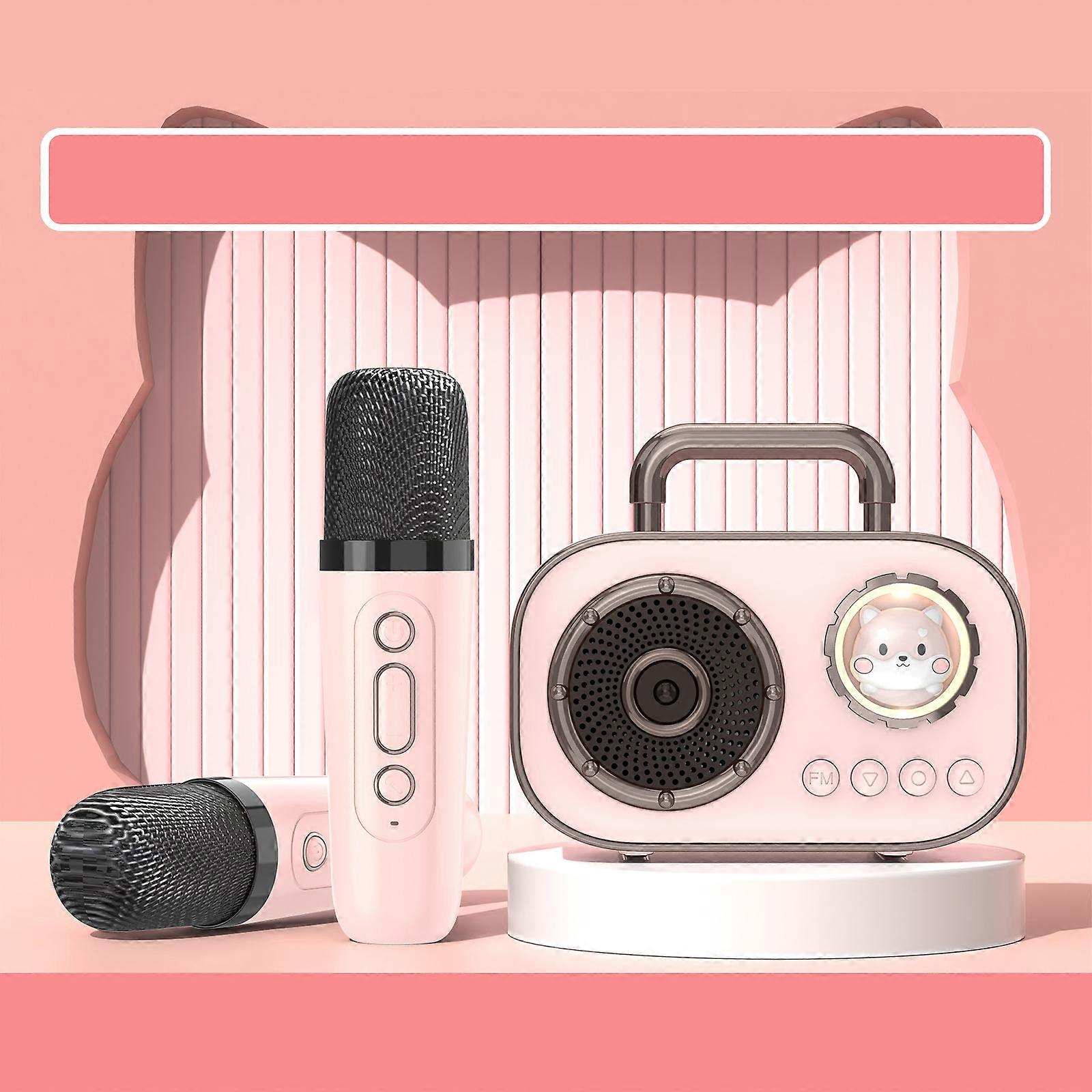 HiFi Bluetooth 5.3 Speaker Support FM, with 2 x Microphone