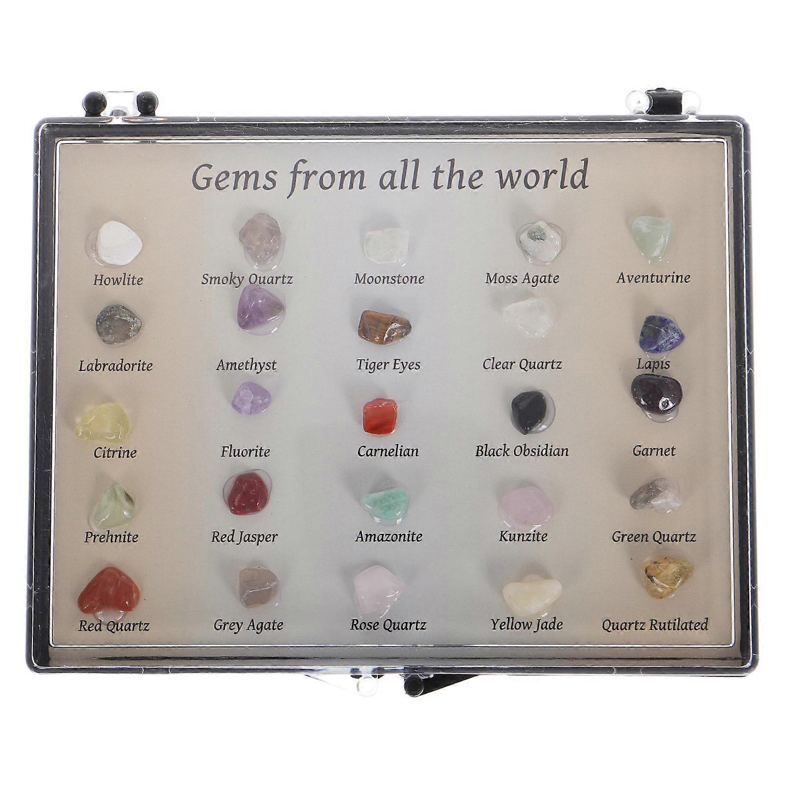 Rock Collection Display Case for Kids Learning 1Set 25 Specimen Kit