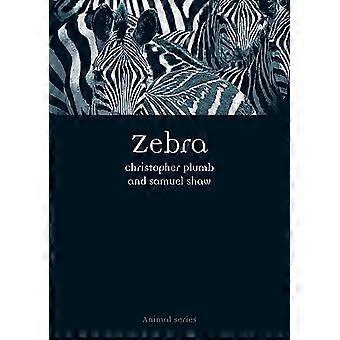 Zebra (dyr)